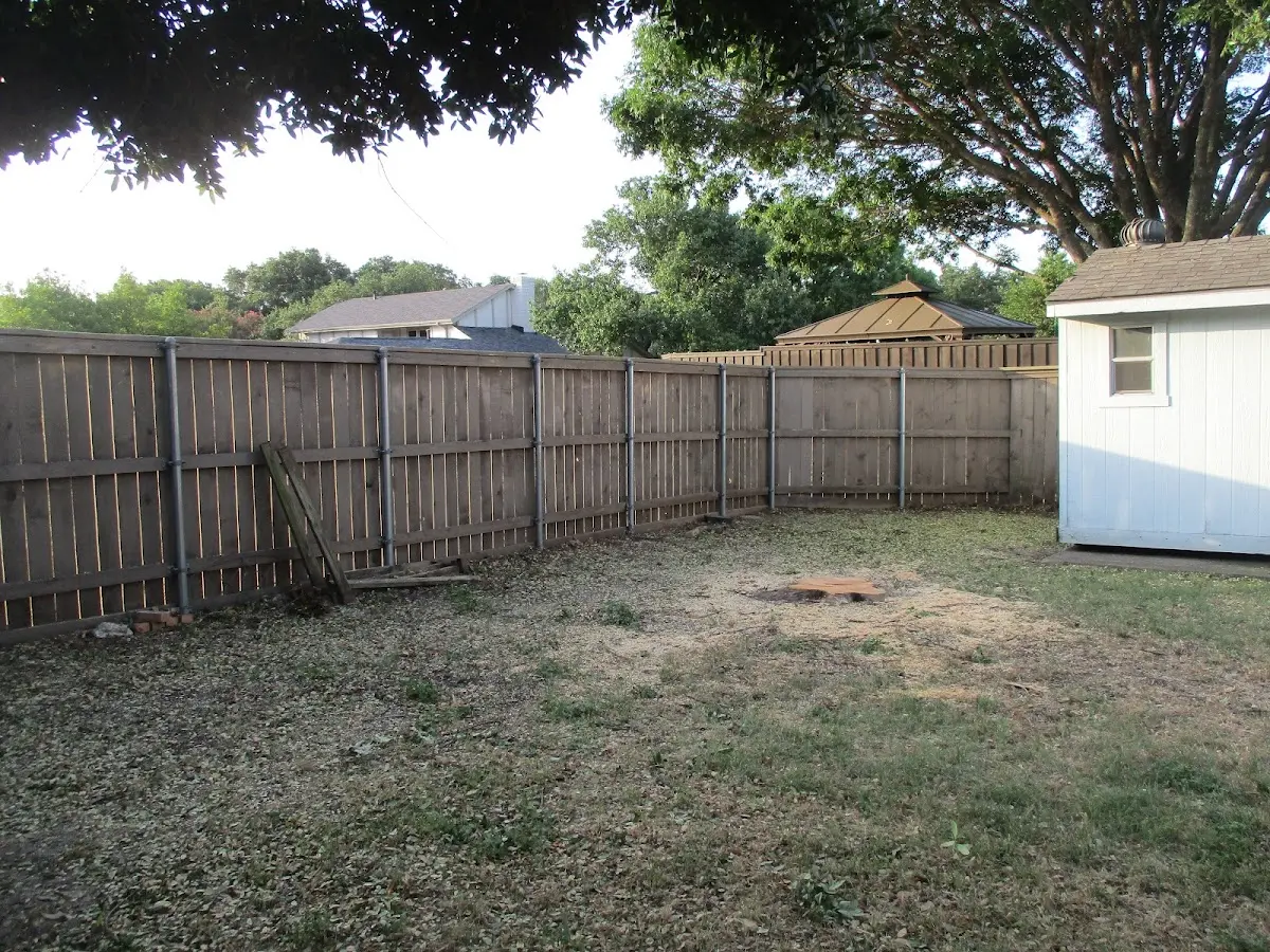 Cleared yard after professional tree removal in Hawkeye